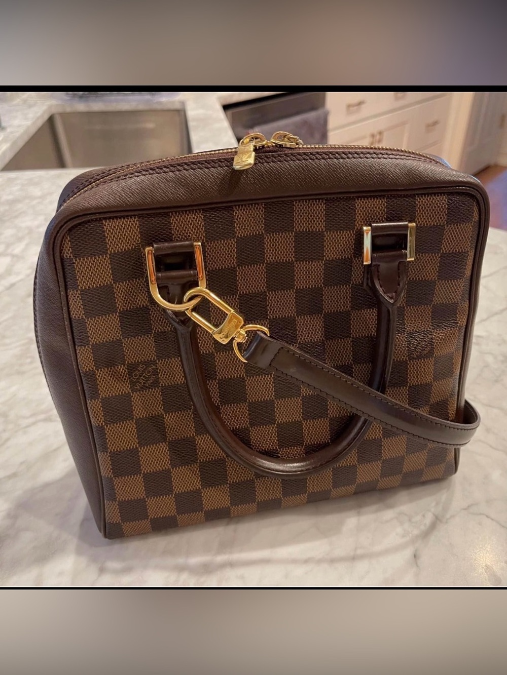 Louis Vuitton Damien Ebene Bag